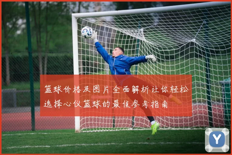 篮球价格及图片全面解析让你轻松选择心仪篮球的最佳参考指南