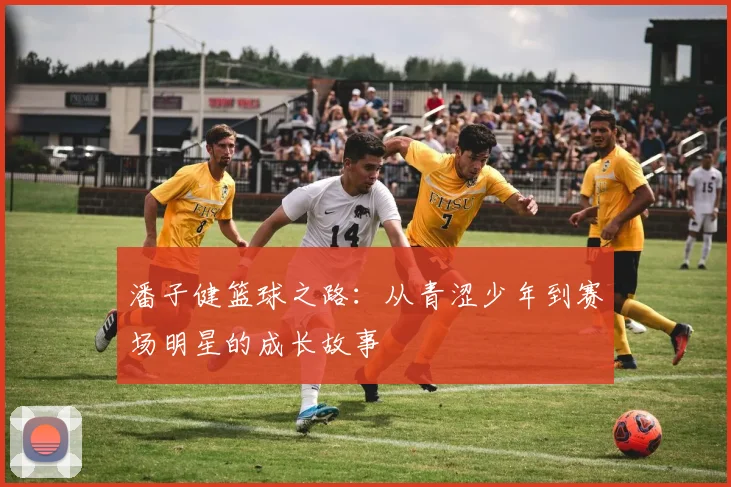 潘子健篮球之路：从青涩少年到赛场明星的成长故事